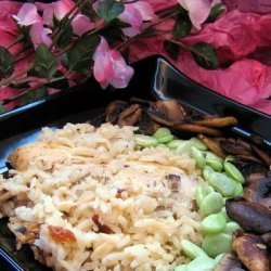 Creamy Chicken and Rice in a Crock Pot