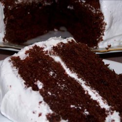 Devil's Food Cake Soaked in Rum