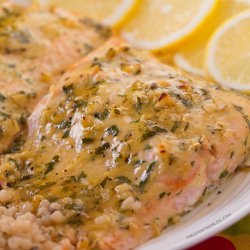 Salmon Bake