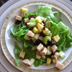 Turkey and Apple Salad (Ww)