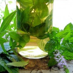 Herbal Vinegar With Lemon Verbena & Mint