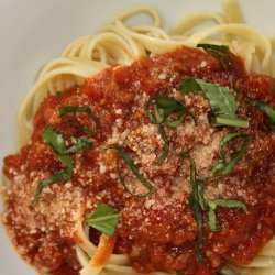 Spaghetti Sauce