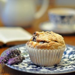 Blueberry Muffins