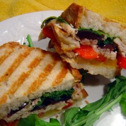 Marinated Chicken Panini