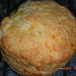 Golden Cheddar Cheese Scones