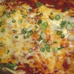 Cheese Enchiladas