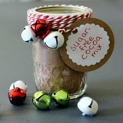 Sugar-Free Hot Cocoa Mix