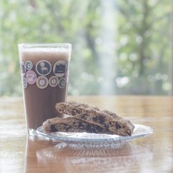 Cranberry Chocolate Chip Biscotti