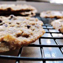 Thin and Crispy Chocolate Chip Cookies