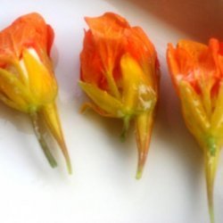 Stuffed Nasturtium Flowers