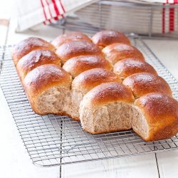 Wheat Dinner Rolls