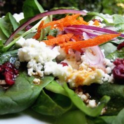 Feta and Red Onion Spinach Salad