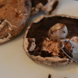 Grilled Portabella Mushrooms