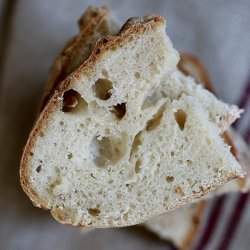 Sourdough Starter w/o Yeast