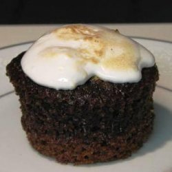 Chocolate Graham Cracker Cupcakes With Toasted Marshmallow