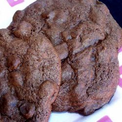 Ultimate Chocolate Cookies