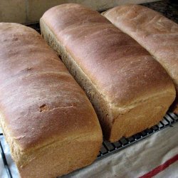 Honey Wheat Bread