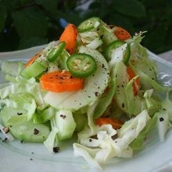 Spicy Bok Choy Slaw