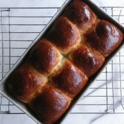 Simple Brioche