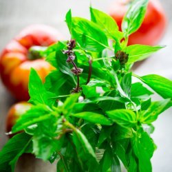 Tomato-Basil Dressing