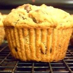 Golden Chocolate Chip Muffins