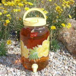 Sun Tea