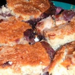 Blueberry Pudding Cake