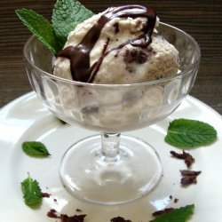 Mint Chocolate Chip Ice Cream