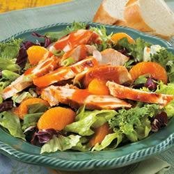 Grilled Chicken and Orange Salad