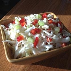 Bell Pepper-Cabbage Salad