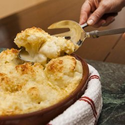 Cauliflower Gratin