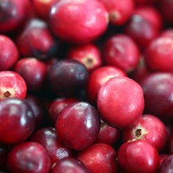 Cranberry Pumpkin Bread