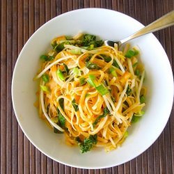 Spicy Coconut Noodles