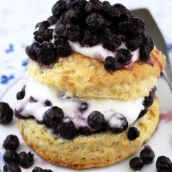 Blueberry Shortcakes