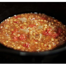 Mexican Onion Soup