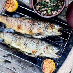 Grilled Trout