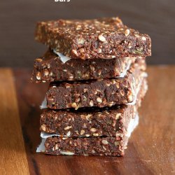 Protein Bars