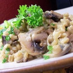 Byrdhouse Mushroom Barley Pilaf