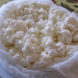 Homemade Fresh Cheese