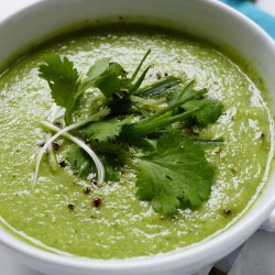 Skinny Cucumber Soup