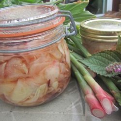 Pickled Ginger