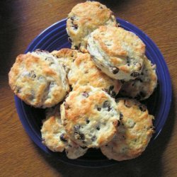 Yummy Raisin Tea Biscuits - No Sugar Added