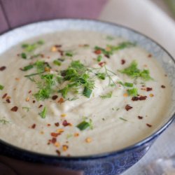 Fennel Leek Soup