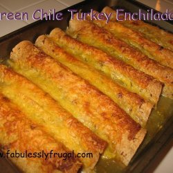 Turkey Enchiladas