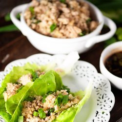 Asian Lettuce Wraps