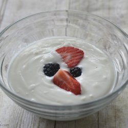 Crockpot Yogurt