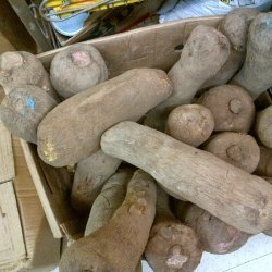 A Yam A Day !