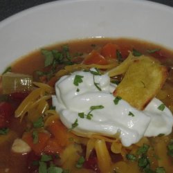 Dks Texas Tortilla Soup