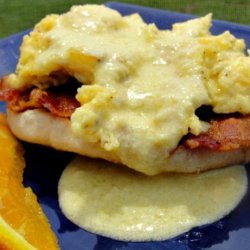 Five Minute Hollandaise Sauce