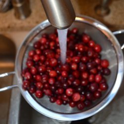 Fresh Cranberry Salsa